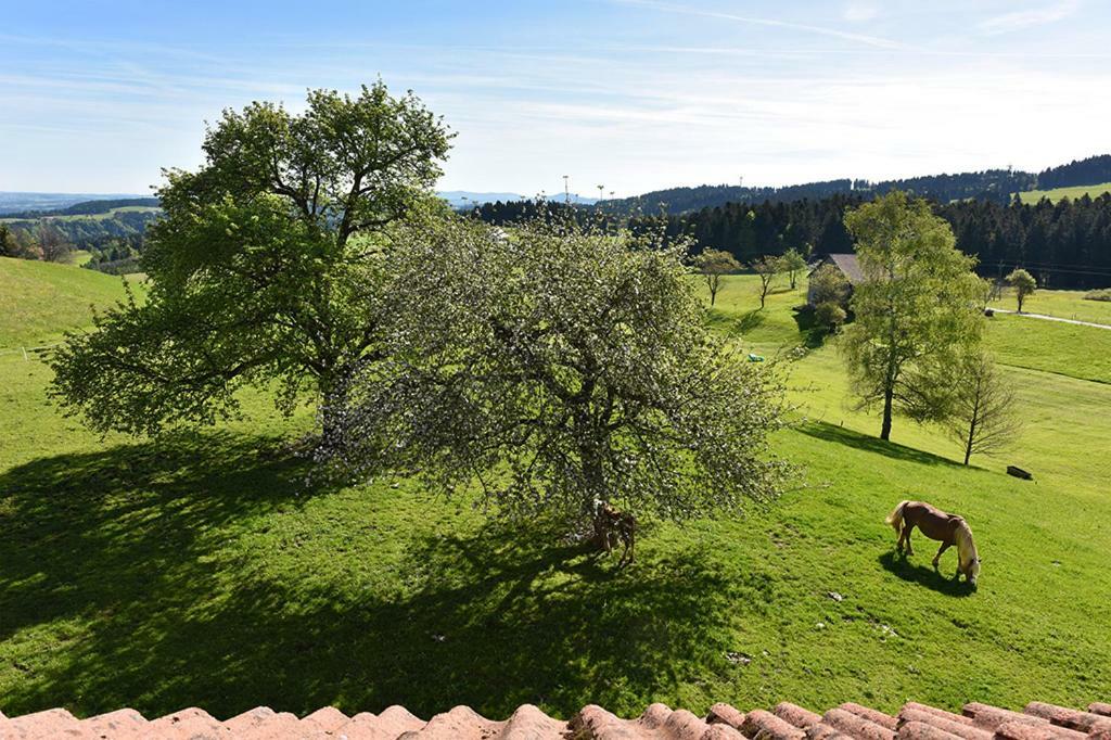 Bio-Bauernhof Heidegger Villa Möggers Exterior foto